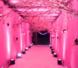 Wedding Event Recent Post